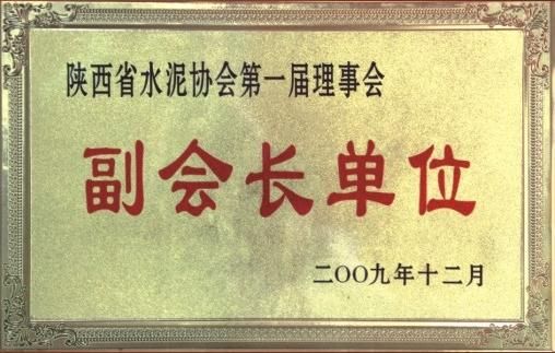 陜西省水泥協(xié)會第一屆理事會副會長單位